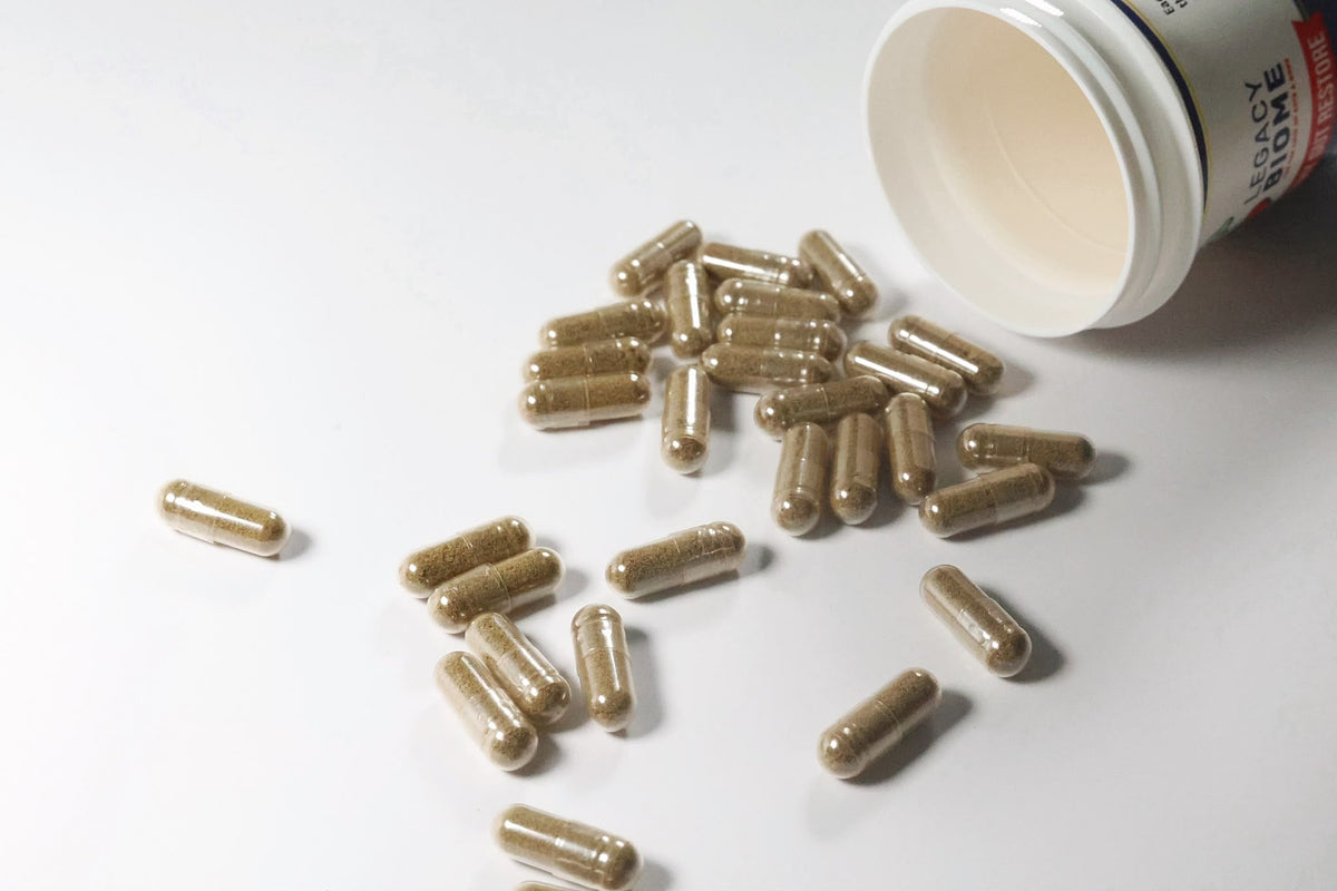 Dog Gut Health Supplement: A Complete Guide to Probiotics, Prebiotics, and FMT