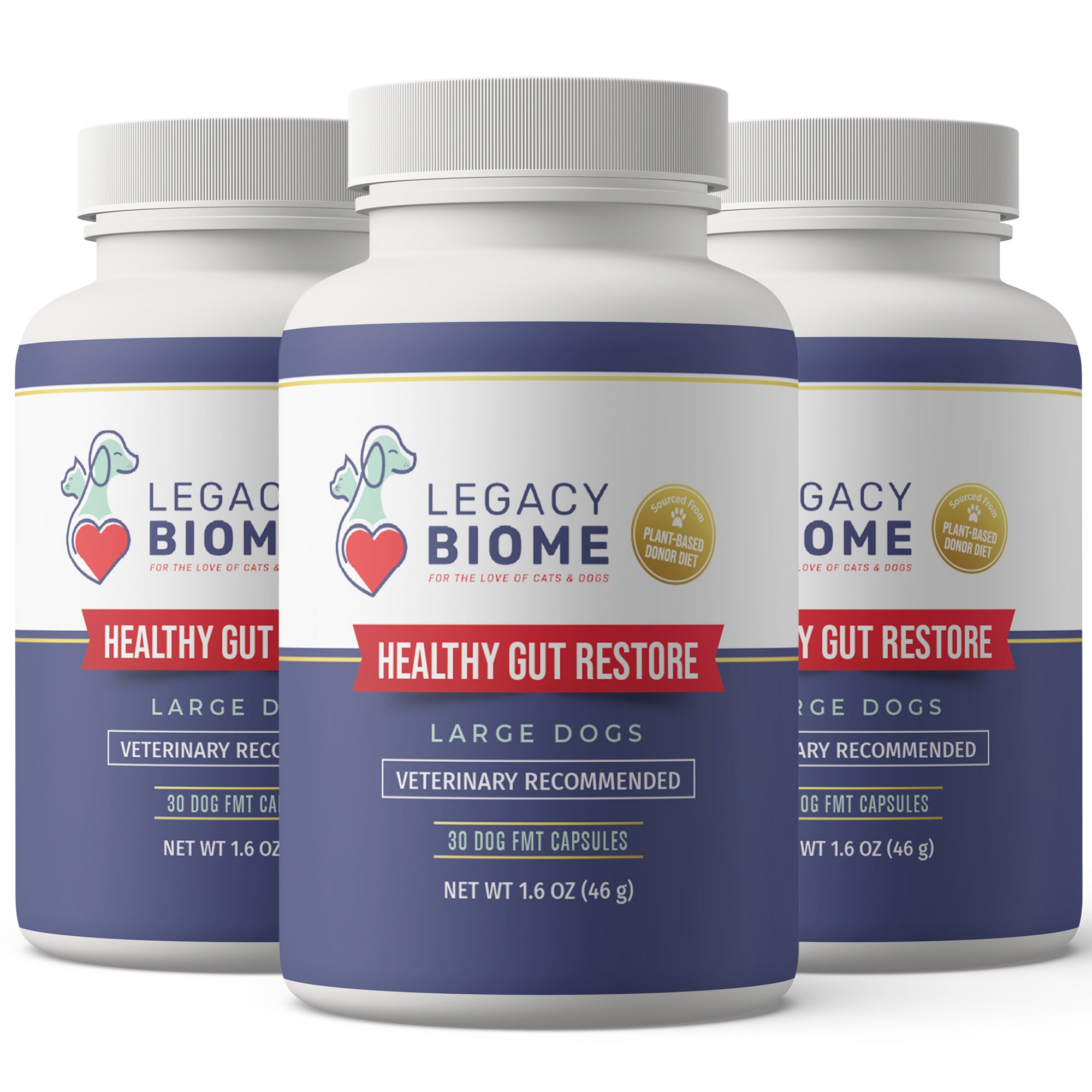Healthy Gut Restore - Three Month Supply (3 Bottles)