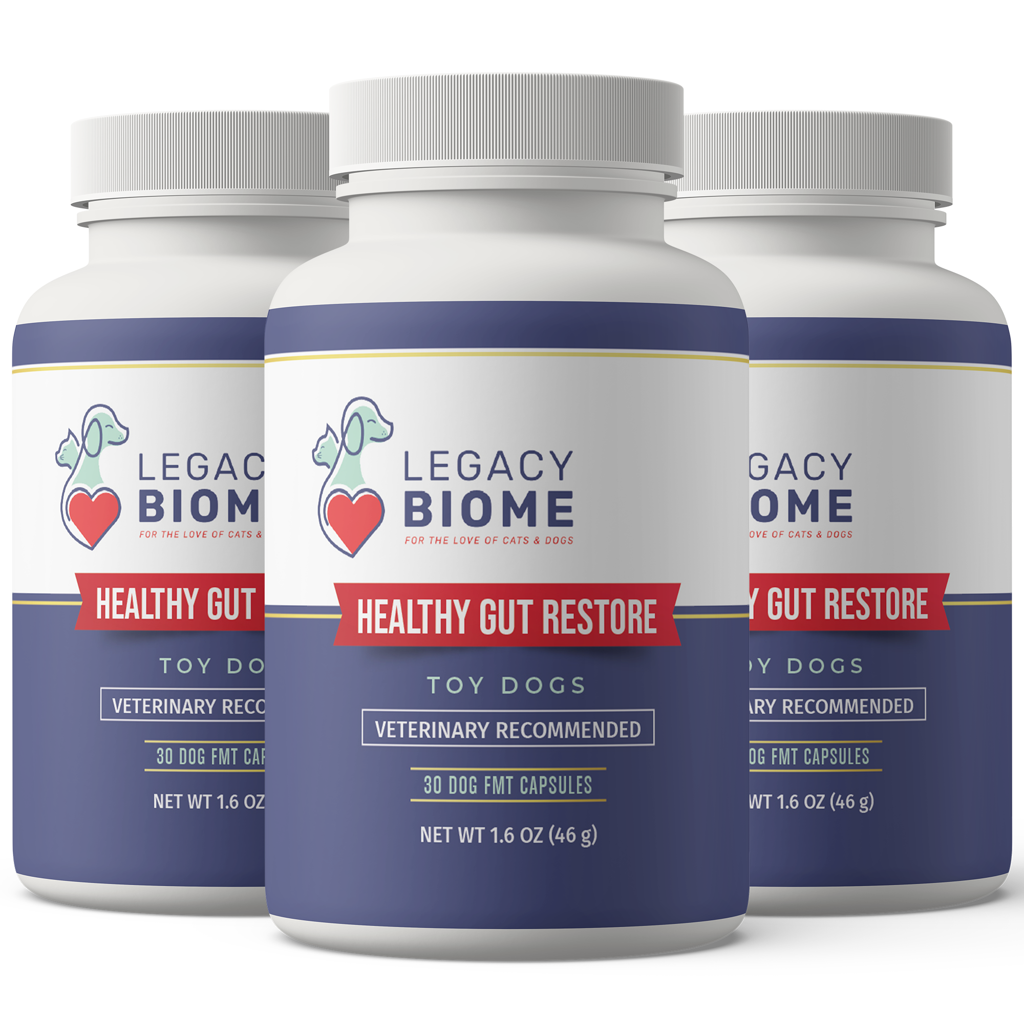 Healthy Gut Restore - Three Month Supply (3 Bottles)