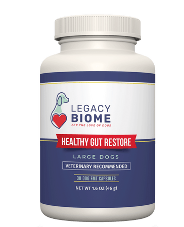 Healthy Gut Restore </br> (large dogs)